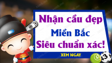 Soi cầu dự đoán Xổ Số Miền Bắc ngày 12/11/2024 - Dự đoán XSMB 12-11-2024